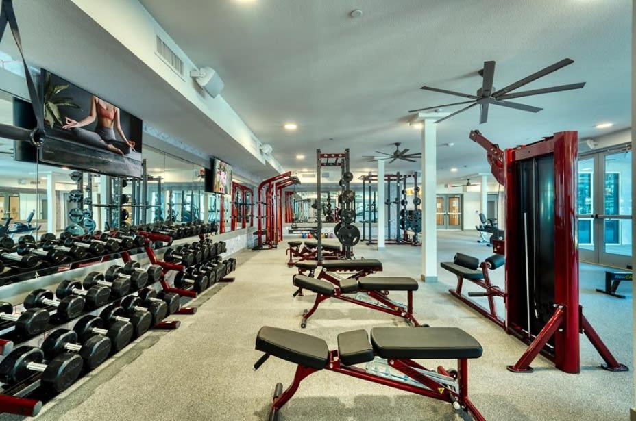 Cozysuites Phx Roro Gym, Pool, Pets, Parking! #9 Phoenix Luaran gambar